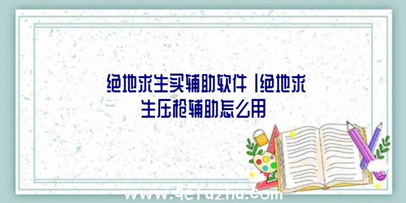 「绝地求生买辅助软件」|绝地求生压枪辅助怎么用